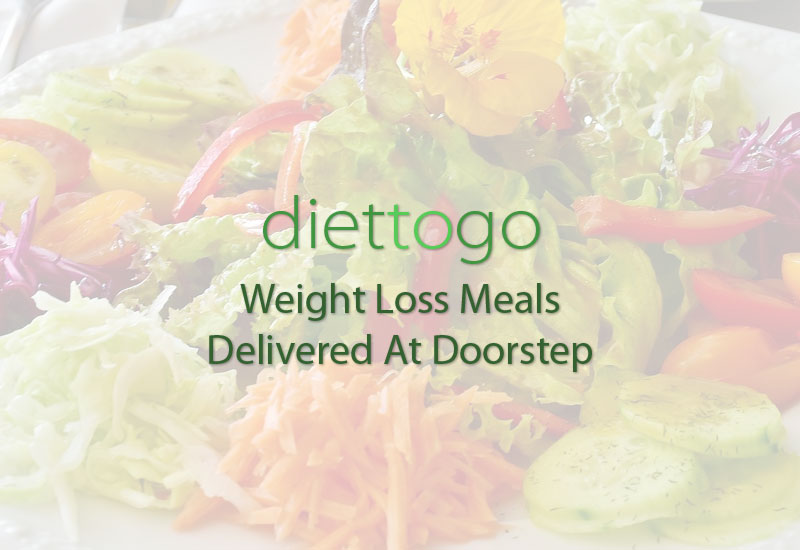 diet to go-diet to go meals-diet to go weight loss meals