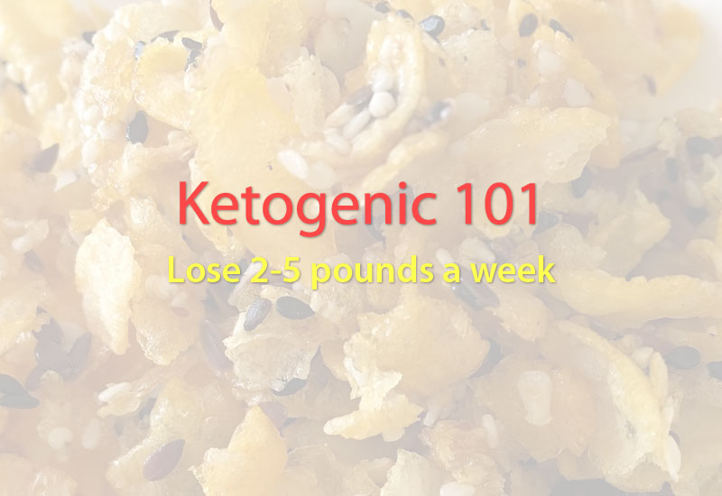 ketogenic 101-low carb diet 101-low carb diet