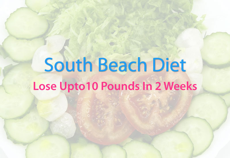 south beach diet meal plan-south beach diet
